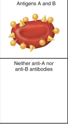 <p>What is this?</p>