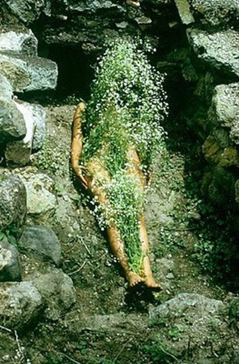 <p>ana mendieta, cuban-american, presence vs absence, regeneration, rituals, religion</p>