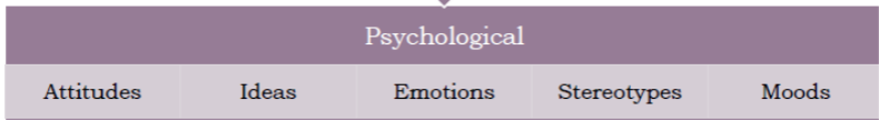 <p><strong>Emotional hijacking</strong> - when strong emotions take over, causing people to act irrationally or impulsively</p>