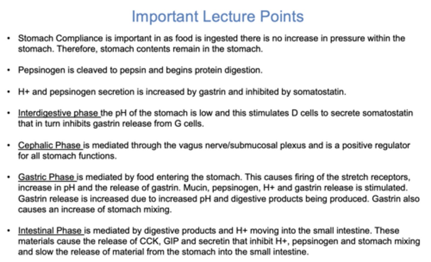 <p>interdigestive phase</p>