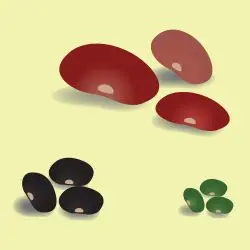 <p>bean, peas</p><p><span><em>まめ</em></span></p>