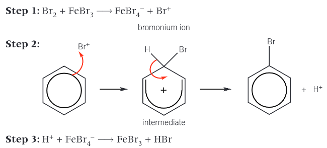 <ol><li><p>Electrophile (Br<sup>+</sup>) is generated when halogen carrier catalyst reacts with bromine</p></li><li><p>Bromonium ion accepts a pair of electrons from the benzene ring to form a dative covalent bond</p><ul><li><p>Organic intermediate is unstable and breaks down to form the organic product (bromobenzene) and a H<sup>+</sup> ion</p></li></ul></li><li><p>H<sup>+</sup> reacts with FeBr<sub>4</sub><sup>-</sup> ion to regenerate FeBr<sub>3</sub> (catalyst)</p></li></ol><p></p>