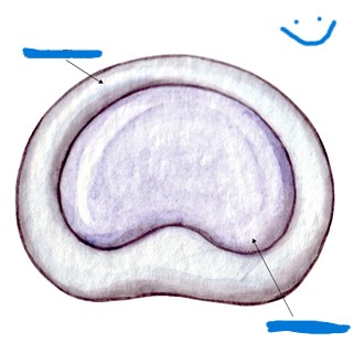 <p>What’s the outside arrow pointing to? What about the inner arrow?</p>