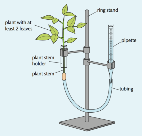 used to measure transpiration rates