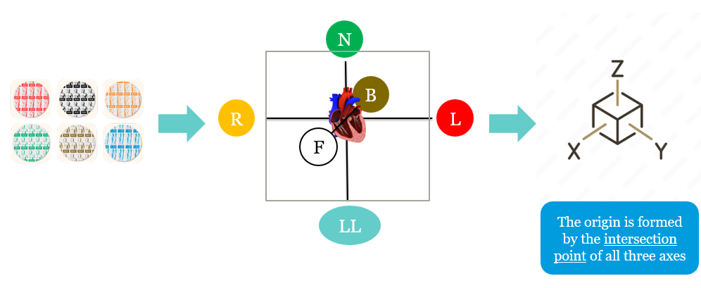 <p>The 6 locating electrodes create xyz coordinate system. Origin is the intersection of these mapping patches, ideally at the heart</p>