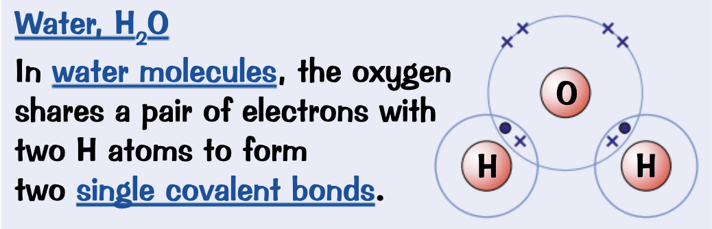 <p>Draw a dot and cross diagram for</p>