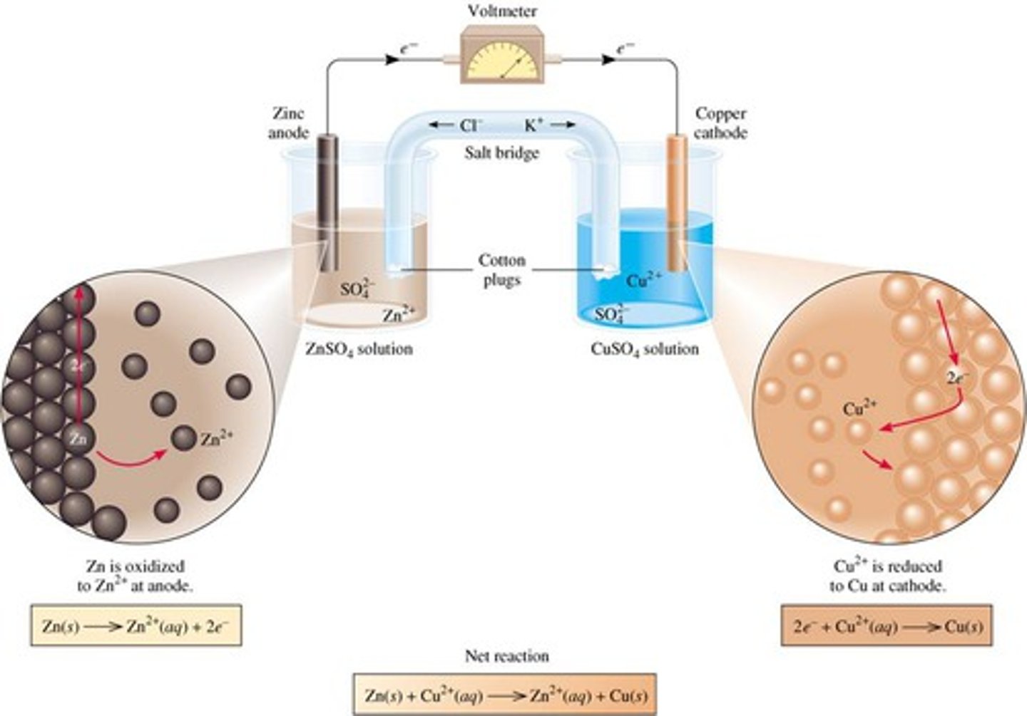 <p>cell must have two electrodes, an electrolyte bridge, and a wire with resistance (galvanic) or power source (electrolytic)</p><p>spontaneous, positive Ecell</p><p>oxidation at the anode (an ox), reduction at the cathode (red cat)</p><p>electron travel from anode (-) to cathode (+) through wire, discharging battery</p><p>cathode is plated, anode loses metal ions</p>
