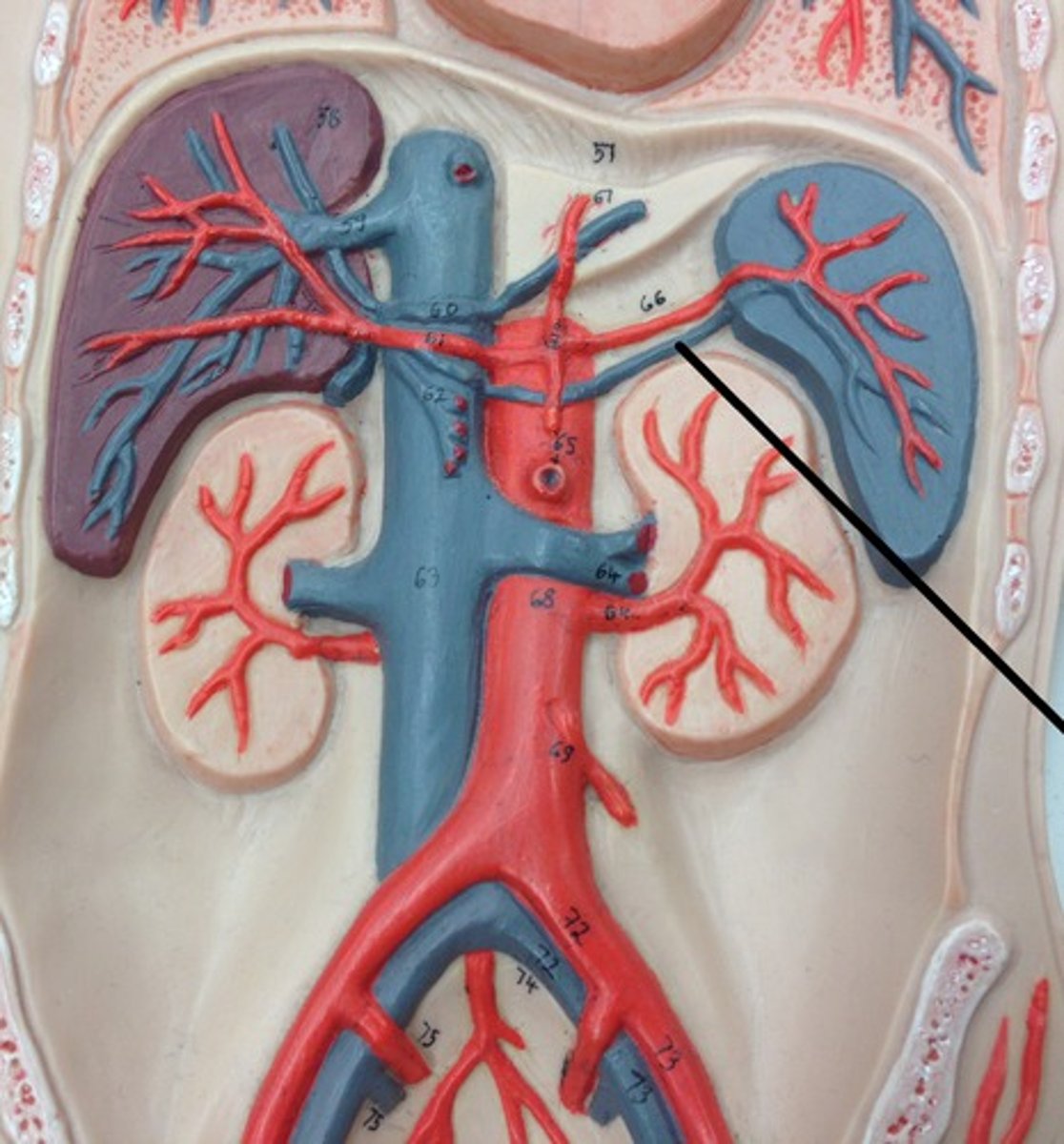 <p>What structure?</p>