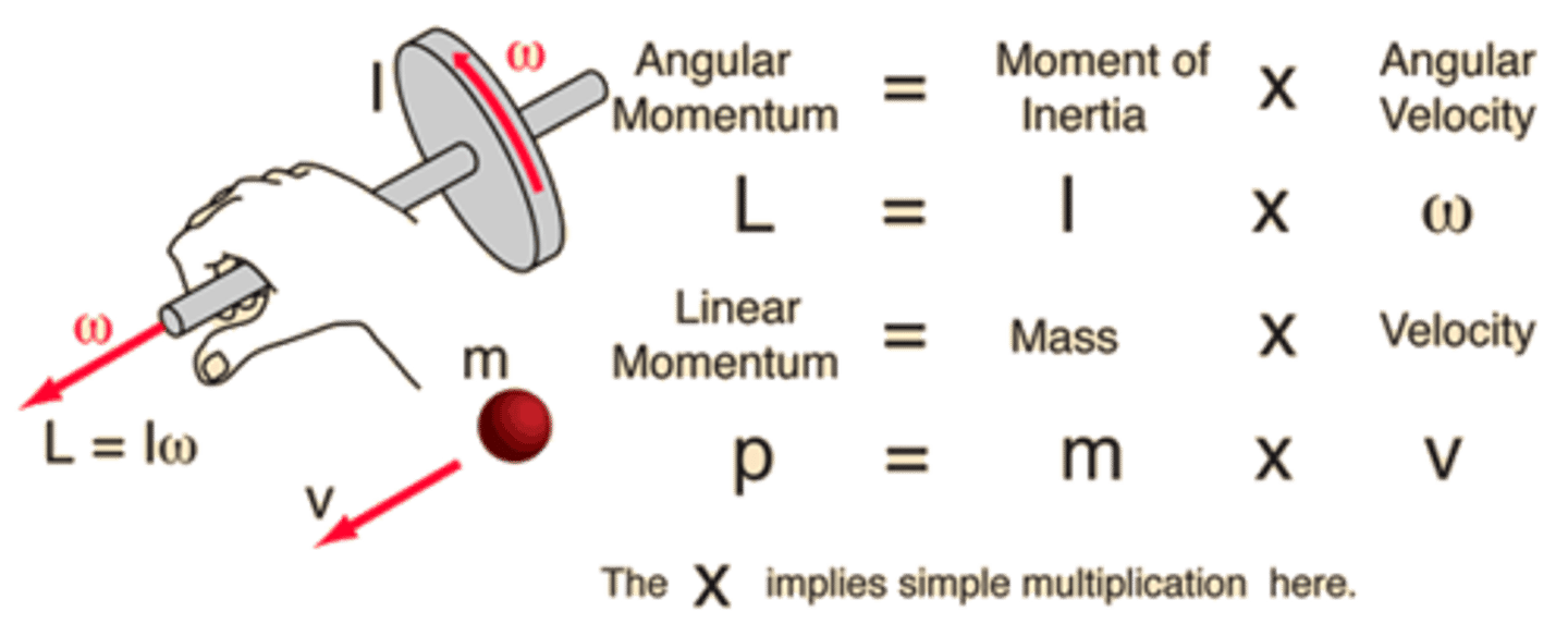 <p>Linear Momentum is what has been already discussed in these cards, p=mv.</p><p>Angular momentum is similar to torque, in the way that it relates to some reference point, and could be written L=lmv, with l being related to torque's lever arm.</p>