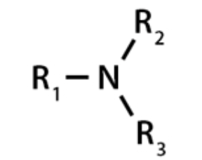 <p>Nitrogen connected to three carbons, three hydrogens, or a mixture of the two, no carbon double bonds are allowed</p>