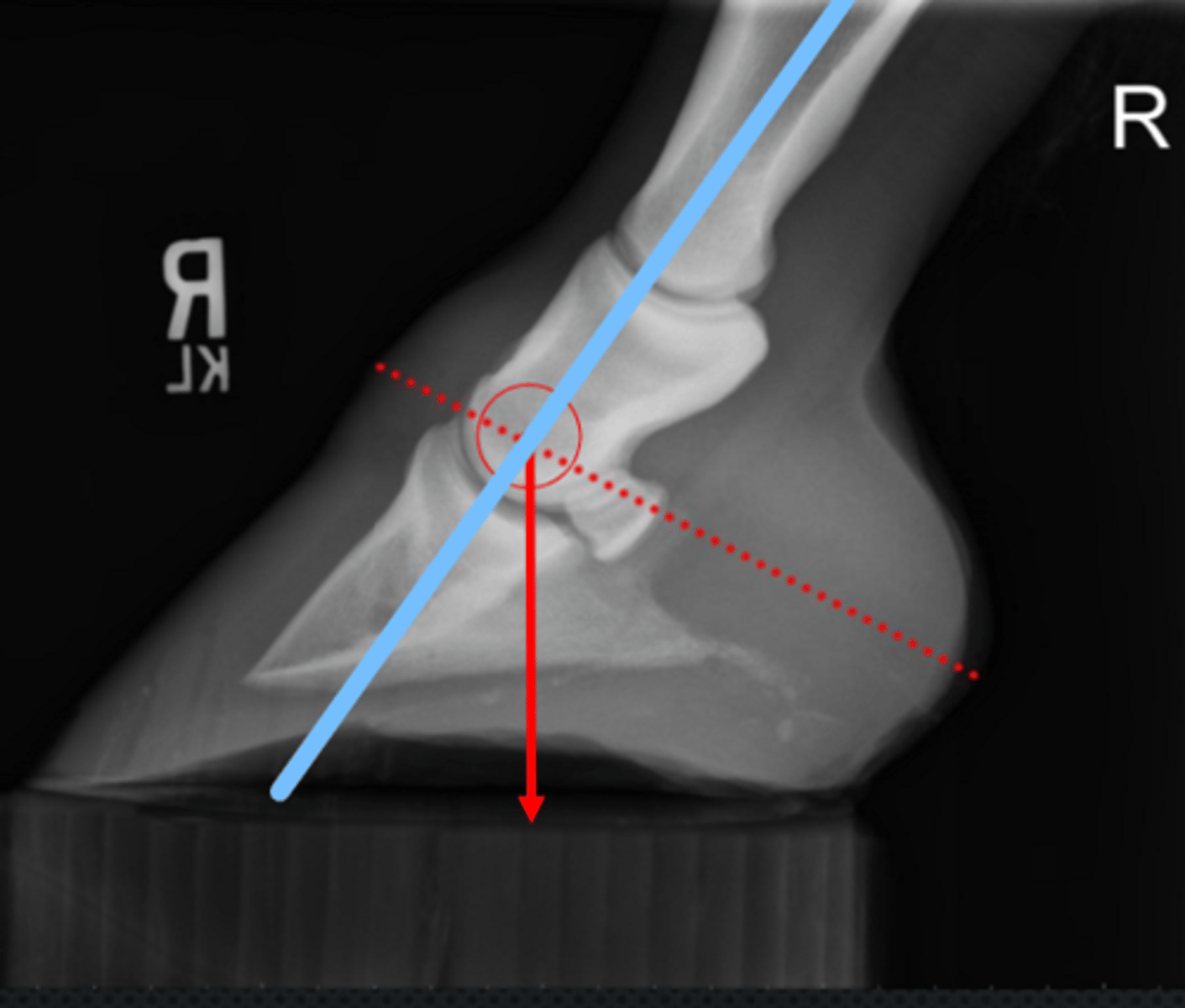 <p>What measurement is this?</p>