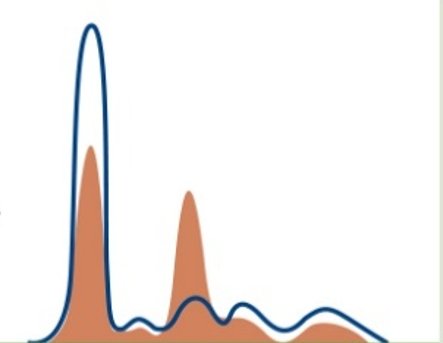 <p><span><span>Which pattern is pictured?</span></span></p>
