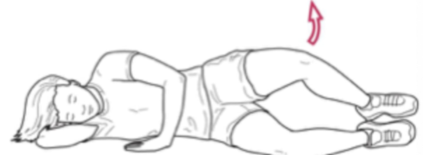 <p>hip ER</p><p>pt sidelying with involved LE on top; LEs partially flexed at hips and knees; heels resting together</p><p>-pt lifts knee of involved LE, keeping heels together4</p>