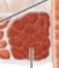 <p>what is this?</p>