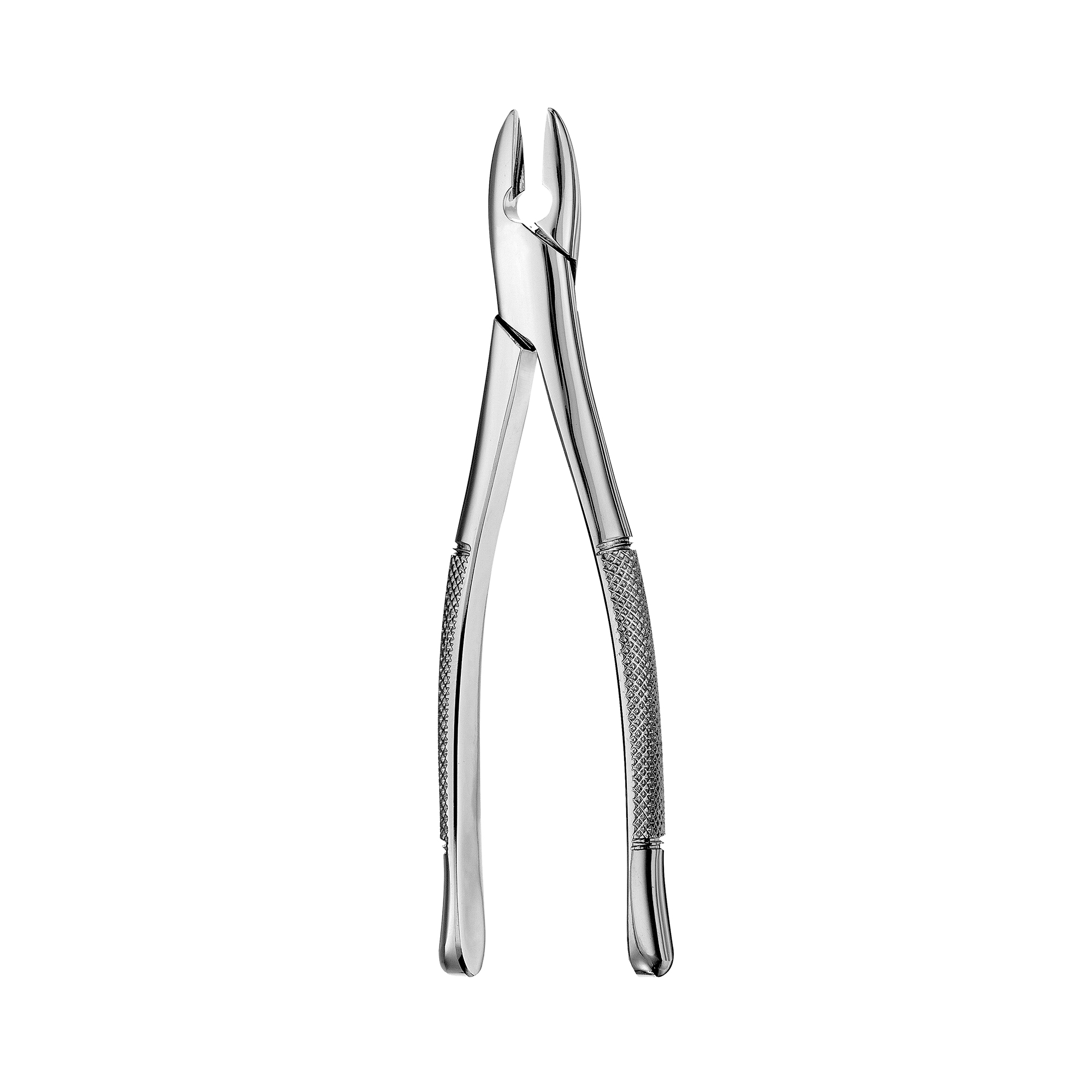 <p>What forcep is this?</p>