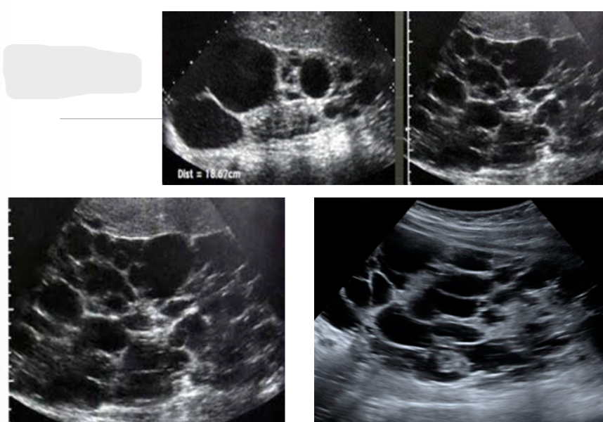 <ul><li><p>requires background info</p></li></ul><p></p>