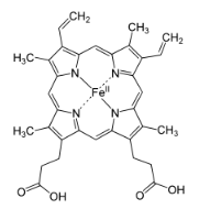 <p><span>The compound below is a co-substrate or cofactor for which drug metabolism enzyme?</span></p>