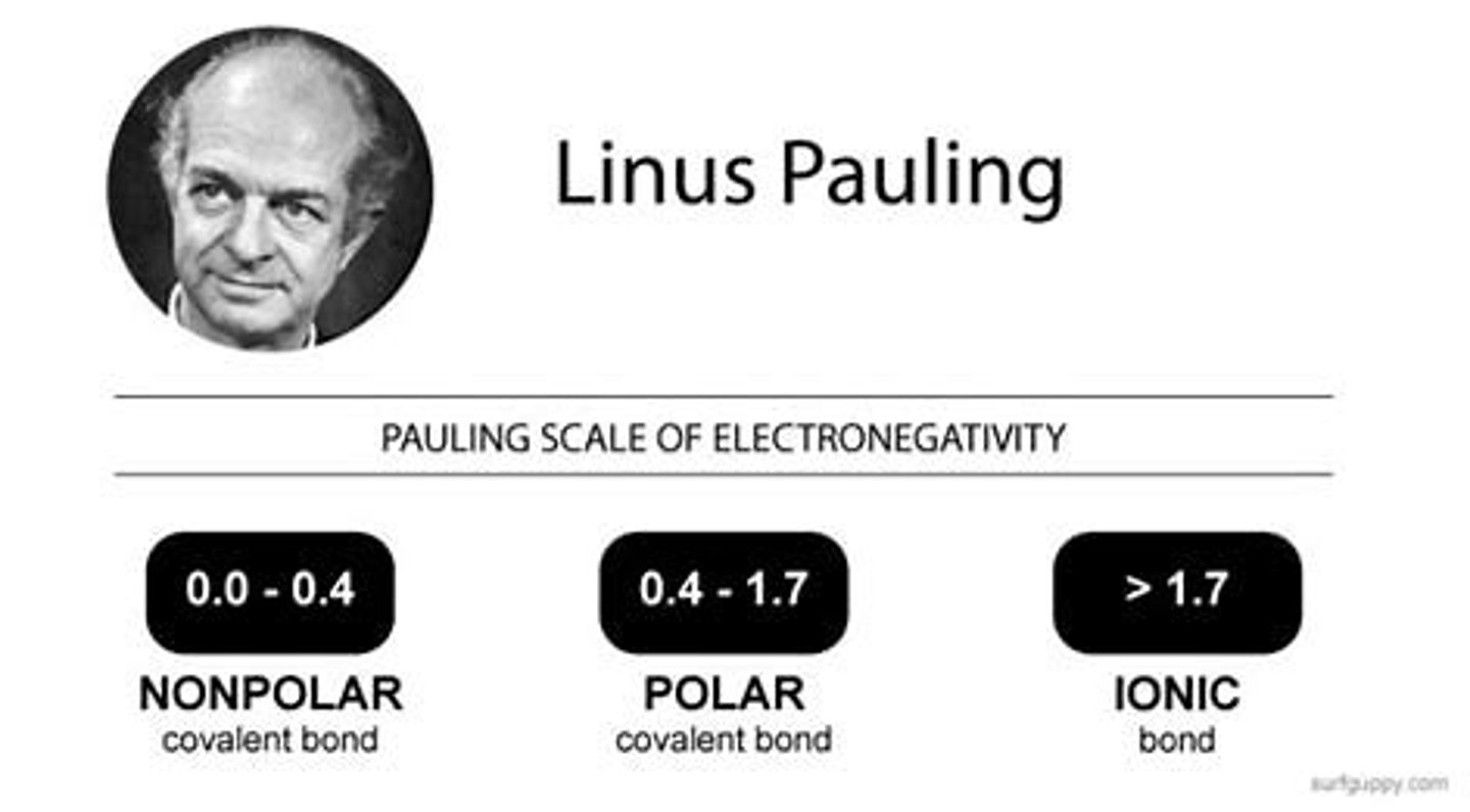 <p>how to find electronegative of a molecule</p>