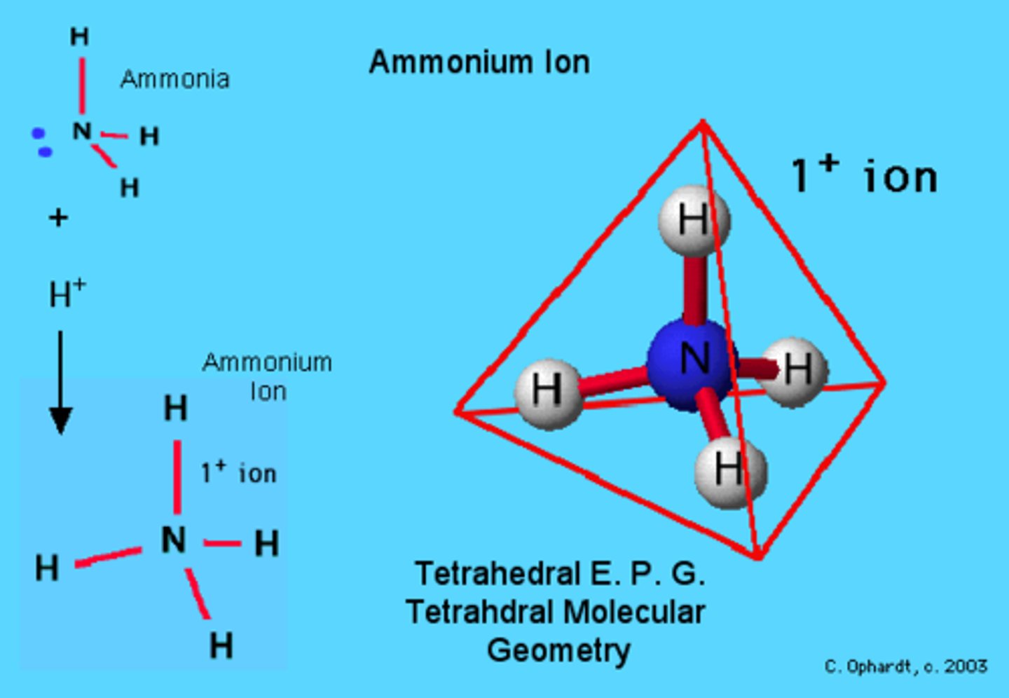 <p>AB4</p><p>Example: NH4+ - ammonium ion</p>