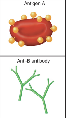 <p>What is this?</p>
