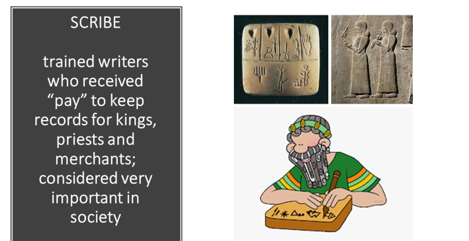 <p>Scribes</p>
