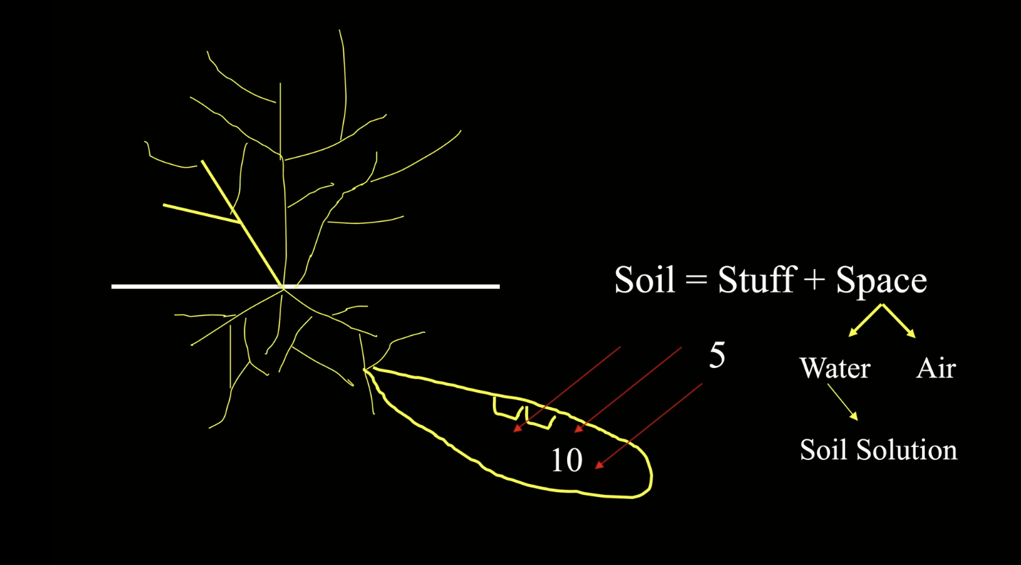 <p>diffusion of water across semi-permeable membrane from an area of lower solute to an area of higher solute concentration; no energy is needed</p><p></p>