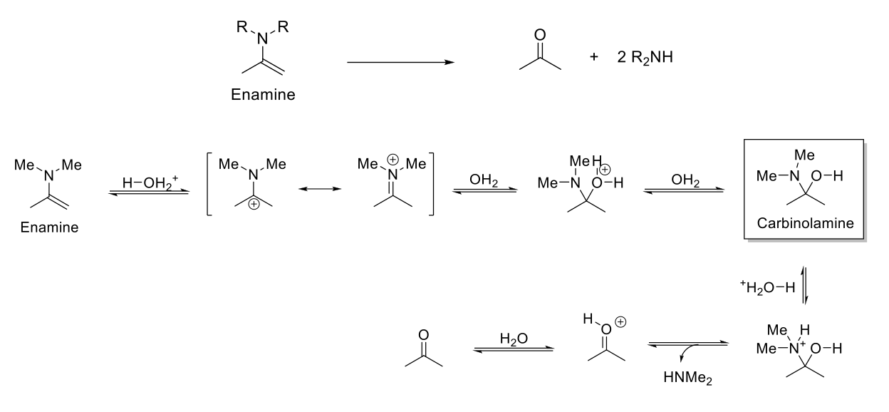 <p>Acid-Catalyzed Hydrolysis of Enamines</p>