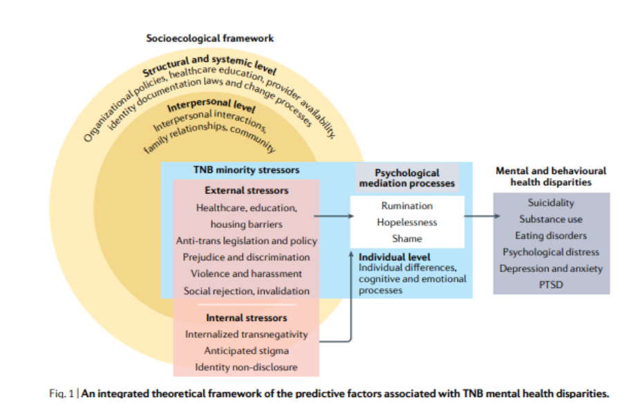 <ul><li><p>Socioecological Context</p><ul><li><p>Structural/Systemic level: Policies, healthcare access, education, documentation laws.</p></li><li><p>Interpersonal level: Family, community, and social relationships.</p></li></ul></li><li><p>TNB Minority Stressors</p><ul><li><p>External stressors:</p><ul><li><p>Barriers in healthcare, education, housing</p></li><li><p>Anti-trans legislation and discrimination</p></li><li><p>Violence, harassment, and social rejection</p></li></ul></li><li><p>Internal stressors:</p><ul><li><p>Internalized transnegativity</p></li><li><p>Anticipated stigma</p></li><li><p>Identity non-disclosure</p></li></ul></li></ul></li><li><p>Psychological Mediation Processes</p><ul><li><p>Rumination, hopelessness, shame</p></li><li><p>Cognitive and emotional factors at the individual level</p></li></ul></li><li><p>Outcomes: Leads to mental and behavioral health disparities</p></li></ul><p></p>