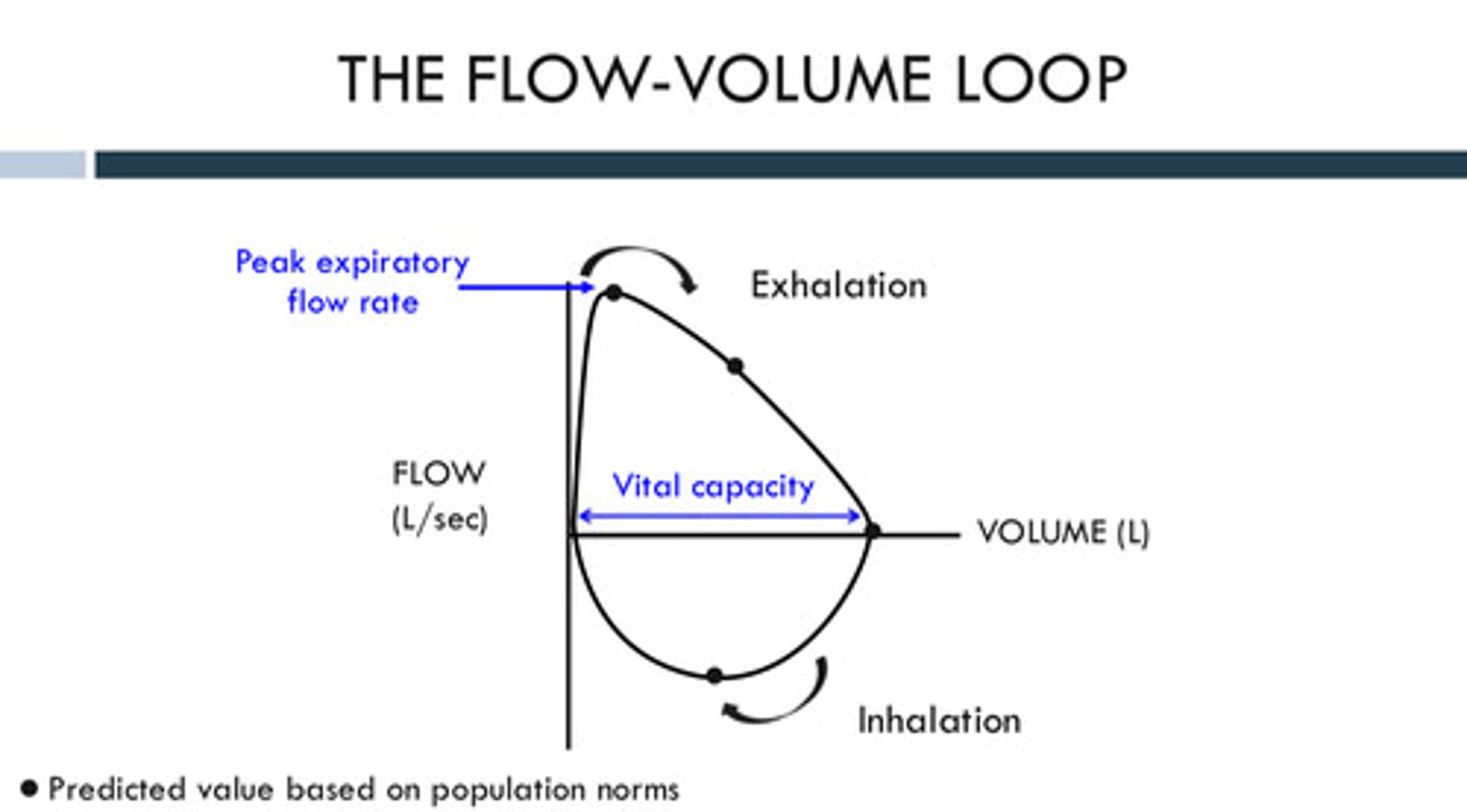 <p>Another way of looking at lung capacity in different breathing instructions. this loop shows the <strong>speed</strong> of air flow during i<strong>nhalation and exhalation</strong>. the flow is the y-axis, and the volume is the x-axis.</p>