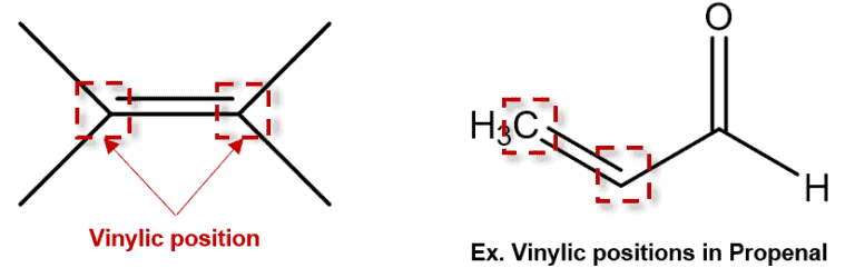 <p>carbons in the double bond </p>