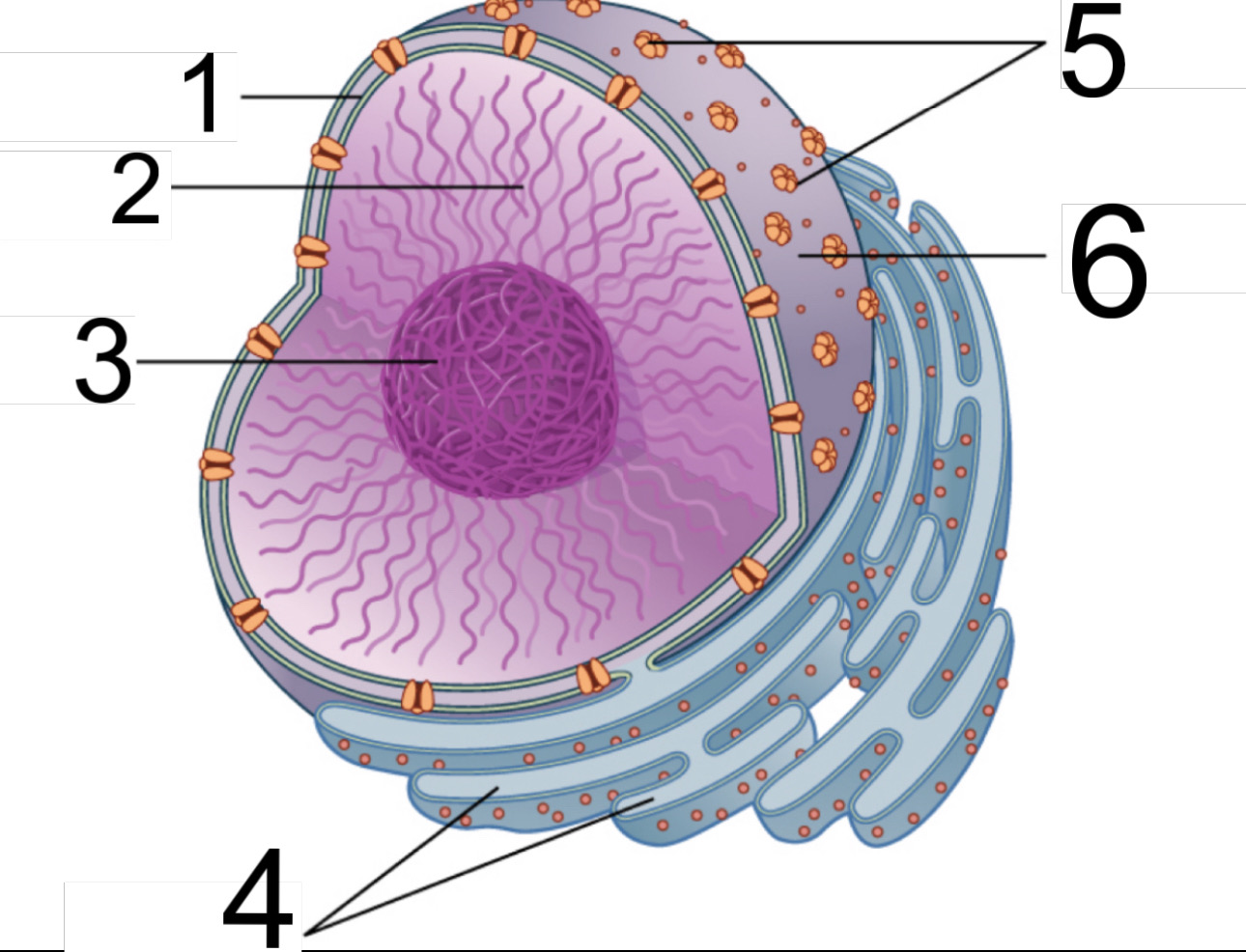 <p>2</p>