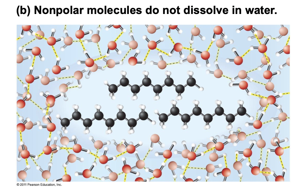 <p>Non-polar molecules that are introduced to water and do not dissolve.</p><p>They are forced together as it minimizes the disruption of the hydrogen bonding in the water. Van Der Waals forces also attract the non-polar molecules to each other.</p>