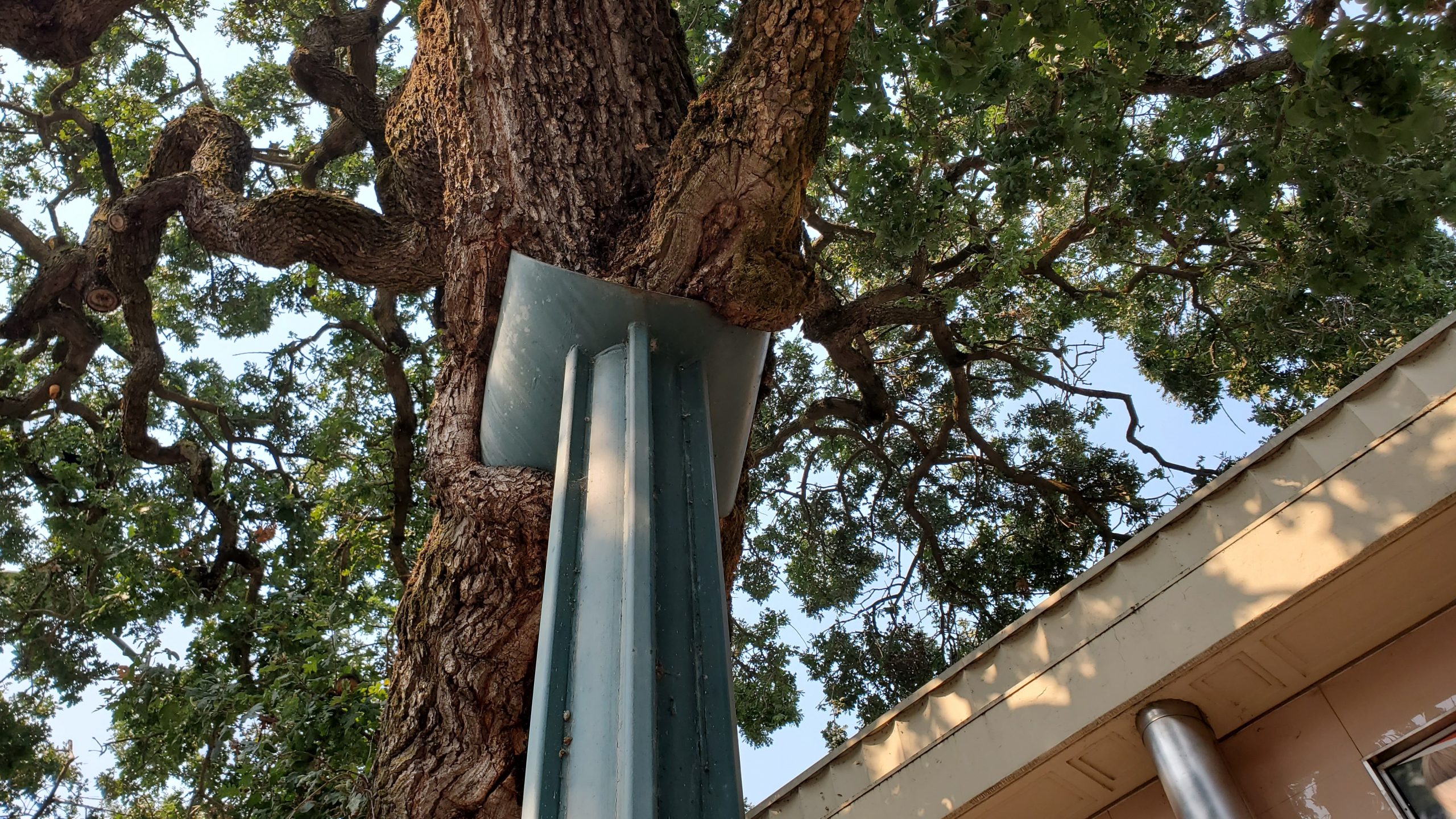 <p>Support system using rigid structures to support weight from below </p>