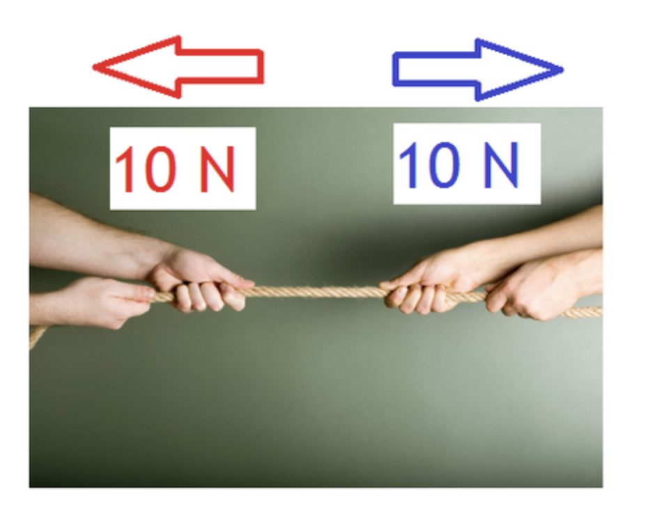 <p>forces acting on an object that combine and form a net force of zero</p>