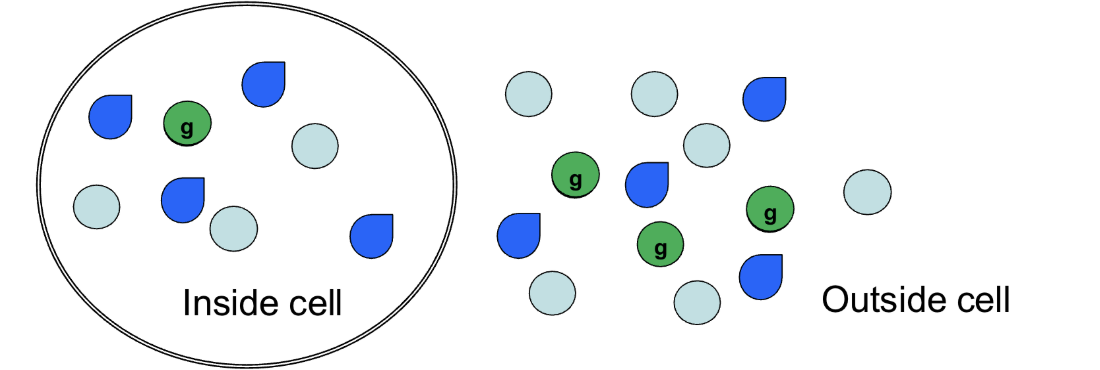 <p><span>Will there be any movement? If so, what will move and which way will it go?</span></p>