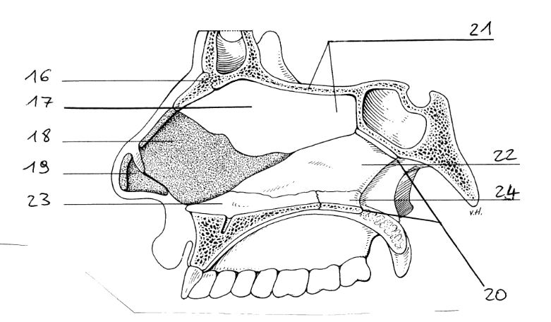 <p>23</p>