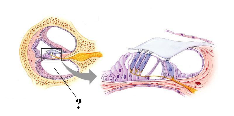 <p><span><span>Identify the indicated space</span></span></p>