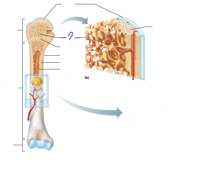 <p>(?)</p>