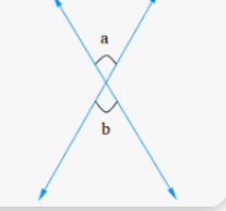 <p>Vertical Angles Theorem</p>