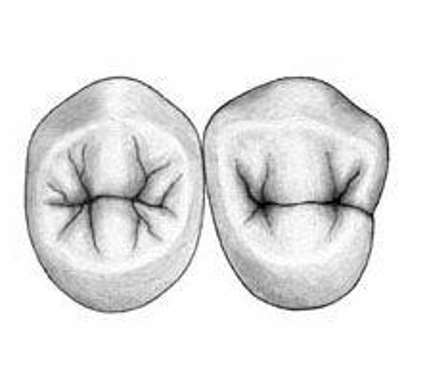 <p>Oval shaped</p>