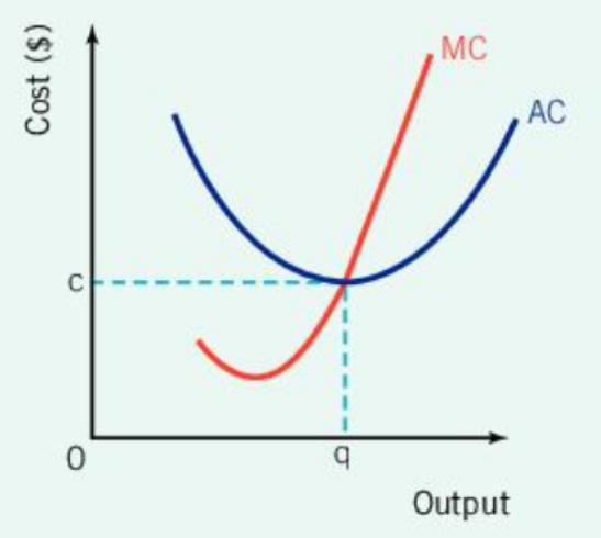 <p>Perfect Competition: Efficiency</p><p>Productive efficiency:</p>