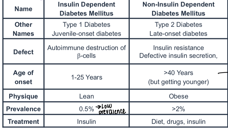 <ul><li><p>T1 is early onset, type 2 is later</p></li><li><p>Lean physique in type 1, obese in type 2 </p></li><li><p>Treatment for type 1 is insulin, type 2 is diet, drugs and insulin </p></li></ul><p></p>
