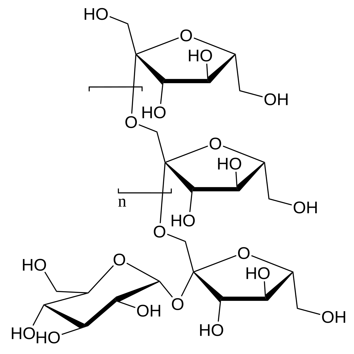 <p>Oligosaccharide </p>
