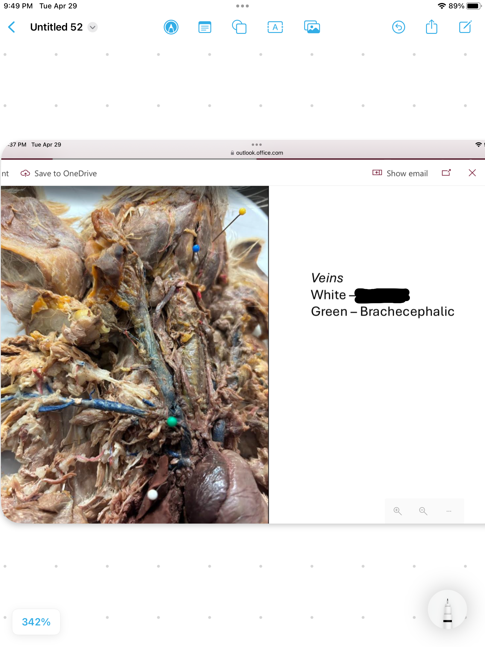 <p>label the area</p>