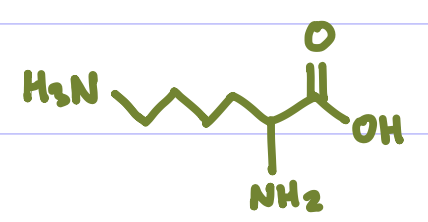 <p>Is this Amino Acid Polar or Non-polar?</p>