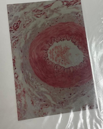 <p>what is this?</p>