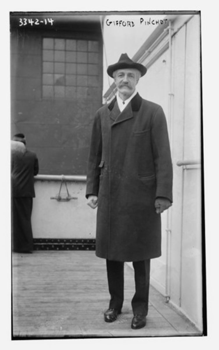 <p>this organization created by Teddy Roosevelt in 1905 brought the federal government to regulate the natural environment</p>