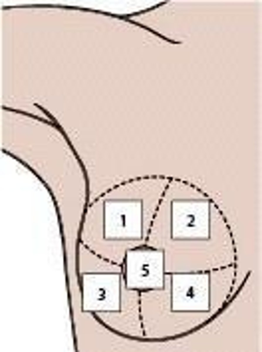 <p>Holistic approach considering biological and psychological factors.</p>
