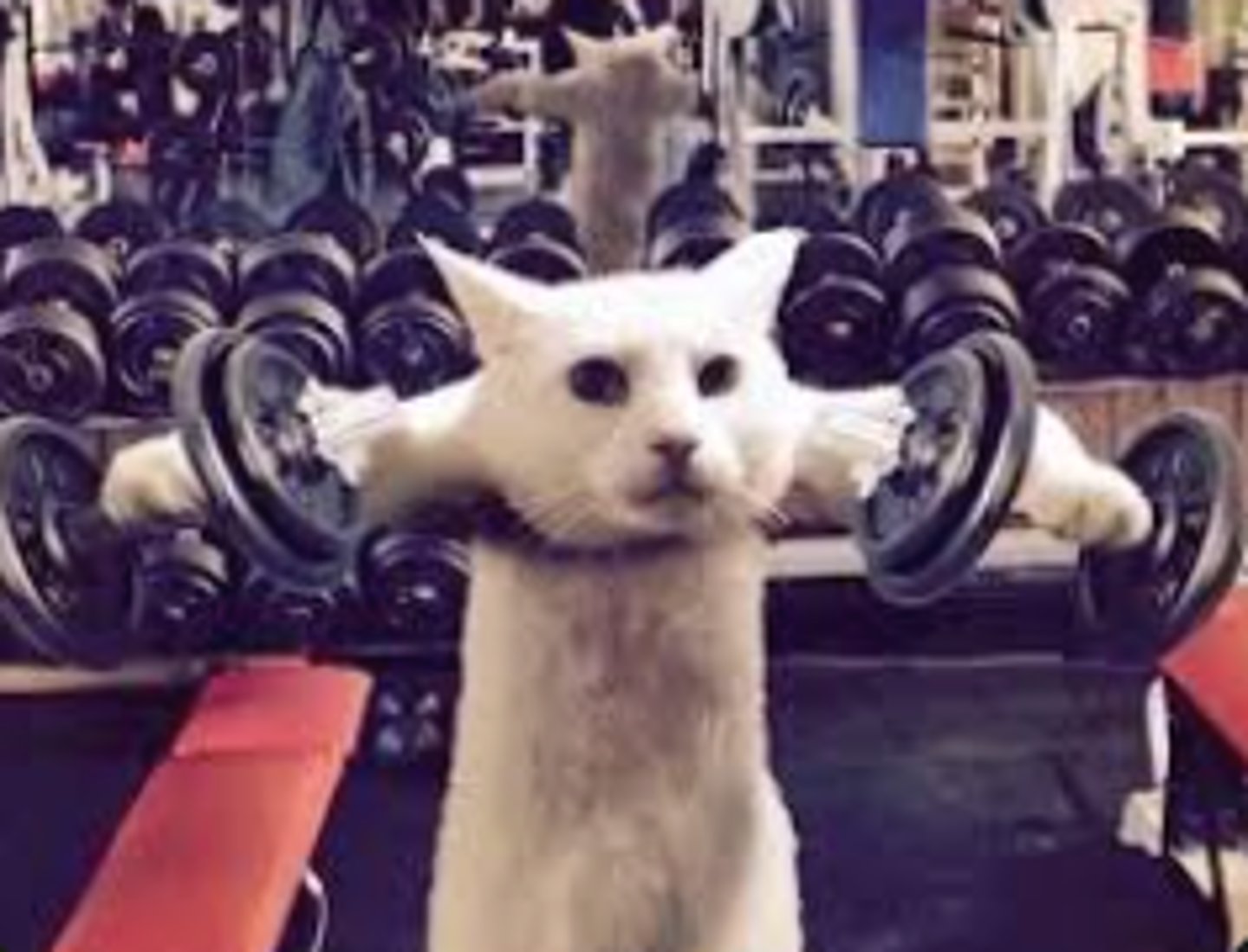 <p>tiến độ, tiến trình, sự tiến bộ</p>