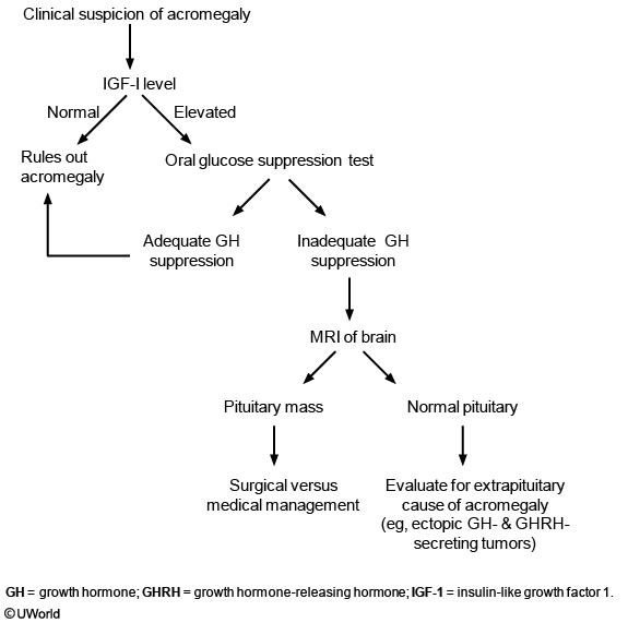 <p>igf-1</p><p></p><p>it is consistenly elevated throughout the day while gh fluctuates (low sens/spec)</p>